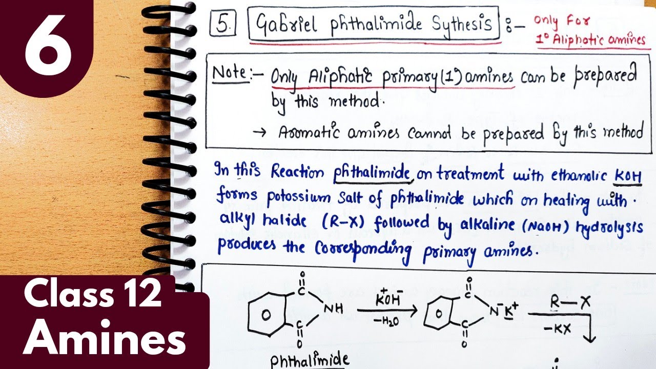 6) Gabriel phthalimide synthesis of primary amines| Preparation of amines| Amines Class12 Chemistry