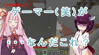 【マイクラ】【ボイスロイド】きりたんの町づくり　＃９　～・・・なんだこれ？～