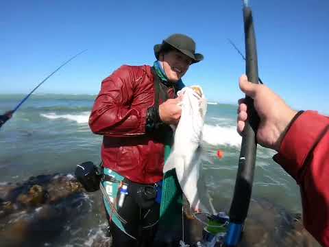 Fishing Strand Reefs and Beach for Kobbies 22/10/2022. Jeandre catching his PB Reef Kobbie.