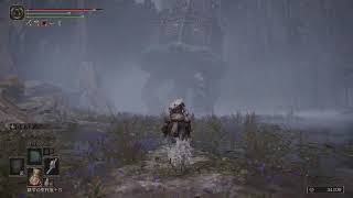 [実況無し]離珠のまったりリングPart.17[ELDEN RING]