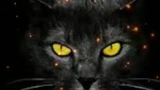 Download lagu BLUKUTUK-NGERAP-RAIHMU KOYO GARPU (Lyric) mp3