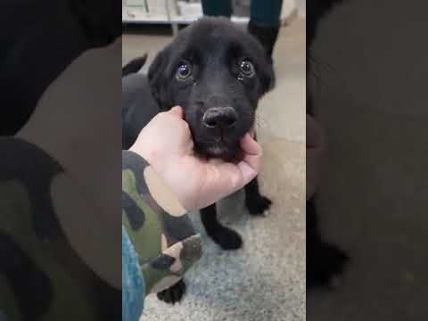 MIRUN + MIRUNA - Dezember 2023