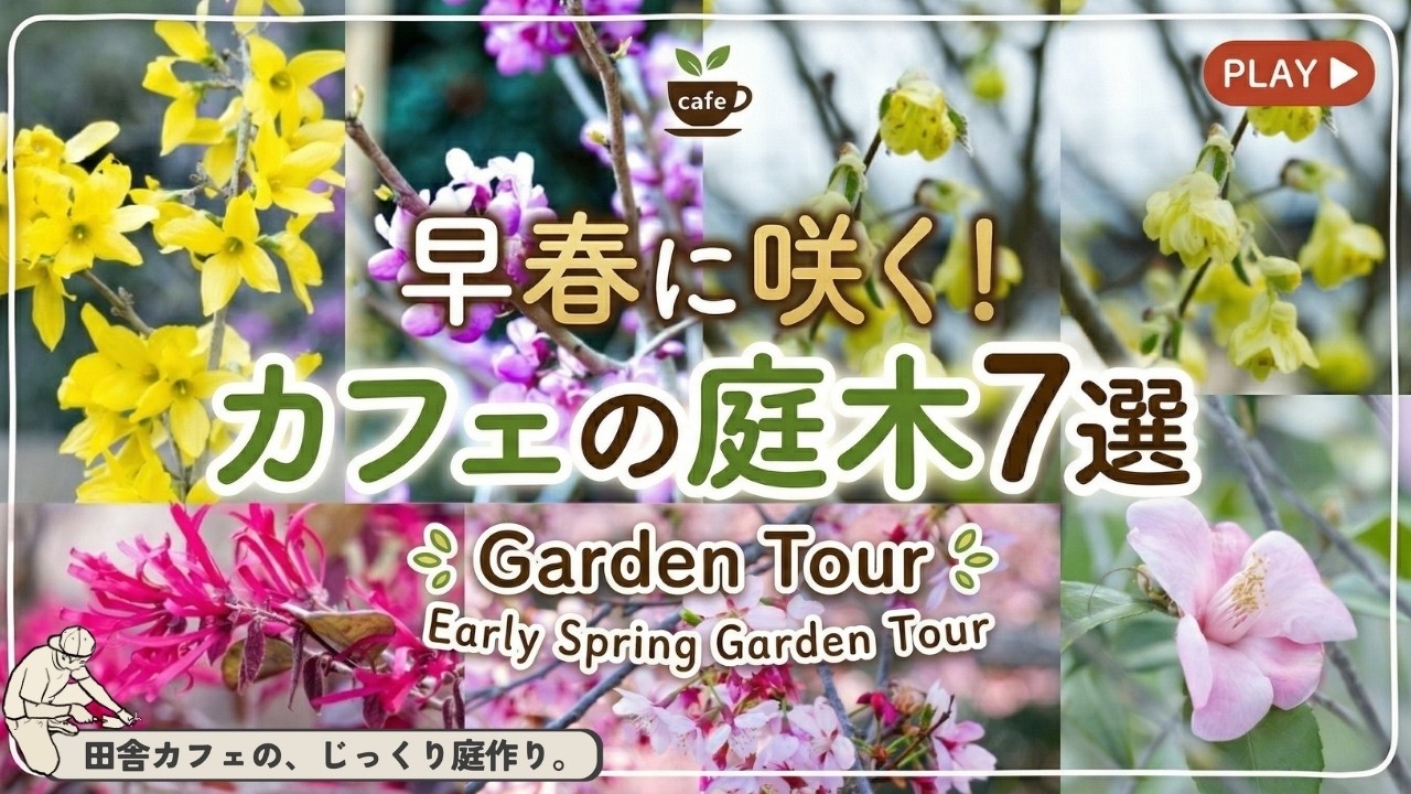 【庭木カタログ】早春に花を咲かせるカフェの庭木７選。ガーデンツアー!!