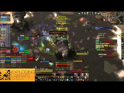 Exploding Labrats VS The Fallen Protectors 25M HC