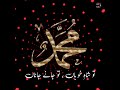 Tu Shahe Kuba Tu Jane Jana Naat Status LoveIslam