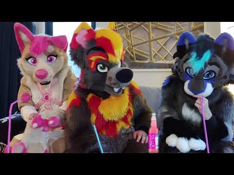 Furries try Cracker Barrel sodas (Ft. Rebel Collie and...