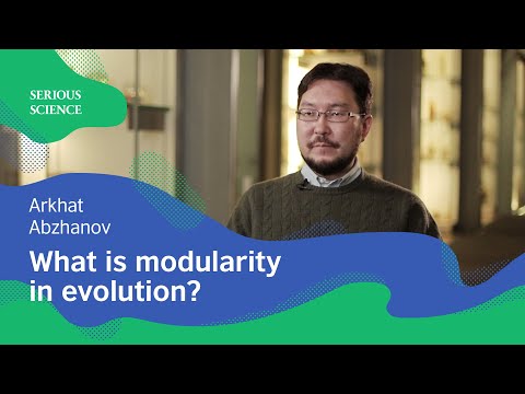 Skull Modularity in Evolutionary Morphology — Arkhat Abzhanov / Serious Science