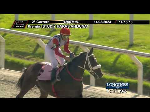 230514 c02 - LONG OVER - HIPODROMO DE MARONAS