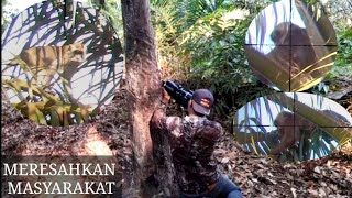 Download lagu SADIS...‼️Berburu monyet ekor panjang yang meresahkan warga//hunting yos hav zoov tua tau mp3