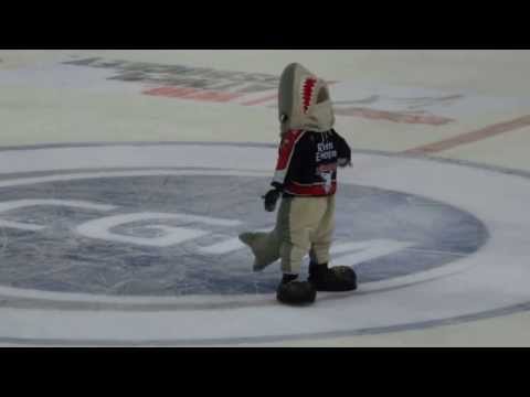 Sharky Dance - Kölner Haie vs. ERC Ingolstadt (11.10.13)
