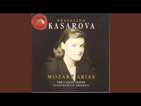 Don Giovanni, K. 527: Vedrai, carino