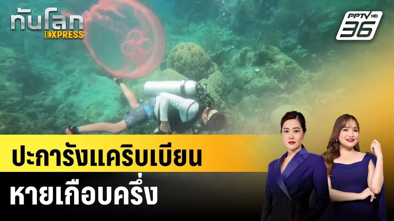 ปะการังแคริบเบียนหายเกือบครึ่ง |ทันโลก EXPRESS |11 ธ.ค. 68