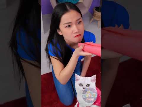 Kejutan Seru dari Kesalahan Kecil! 😂😼