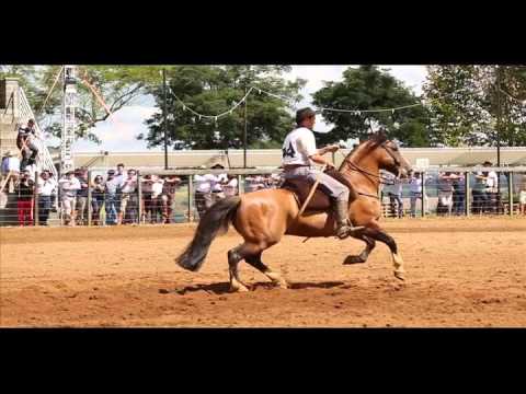1º lugar:machos Guapuruma Mate Amargo