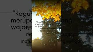 Download lagu story wa 30 detik || #jodoh  || rahasiakan saja mp3