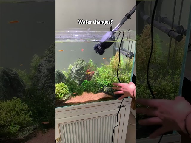 Vídeo relacionado con 6 en 1 Acuario Fish Clean Set/Fish Net, Spoon Net, Gravel Rake, Plant Fork, raspador, Esponja, Conector/Fish Tank Clean Kit de Herramientas de Mantenimiento