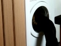 Cat With Washing Machine