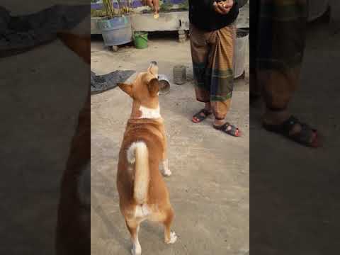 Ruja's morning😊🤗 #tiringbiringfamily #tiringbiring