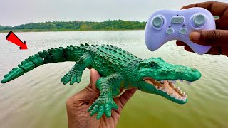 RC Realistic Swimming Crocodile Unboxing & testing - Chatpat toy tv