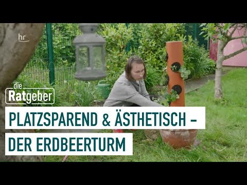 DIY-Projekt für den Garten | Kleiner Schrebergarten - große Freiheit (2/5) | die Ratgeber
