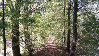 Jan Garbarek -  Molde Canticle