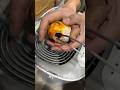 Rescuing Koi Fish Fish Koifish Rescuingfish