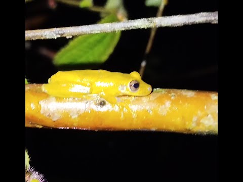 Bahia Solano, El Choco, #colombia#travel#nature#vacaciones#ballenasjorobadas