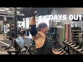 64 Days Out - FULL SHOULDER WORKOUT with IFBB Pro Courtney English