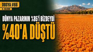 Dünya Pazarının %85'i Bizdeydi, %40'a Düştü: Kayısının Kaybedilen Teke