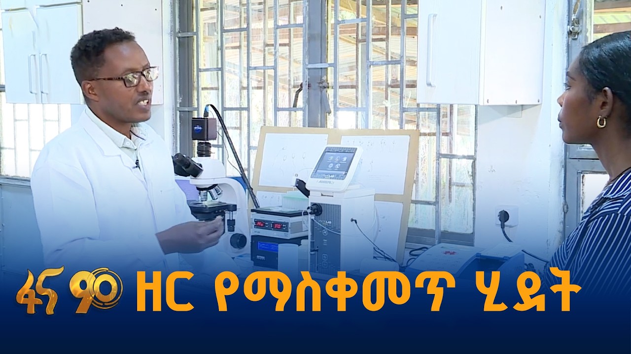 የዳልጋ ከብት ዝርያዎች ማባዛት
