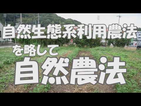 , title : 'コガネムシの幼虫を害虫化させないための注意点【虫の話】2019年10月8日:自然農法'