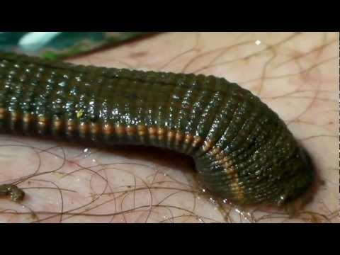 Kung paano para kumbinsihin ang iyong sarili na lumago kayo manipis Pakinabang lakad para sa pagbaba ng timbang