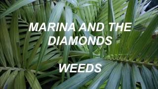 MARINA AND THE DIAMONDS WEEDS LYRICS