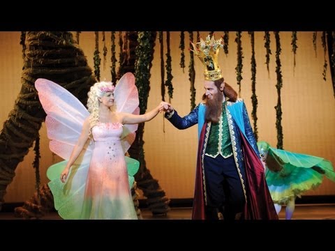 Trailer de Musical Droomvlucht 2011