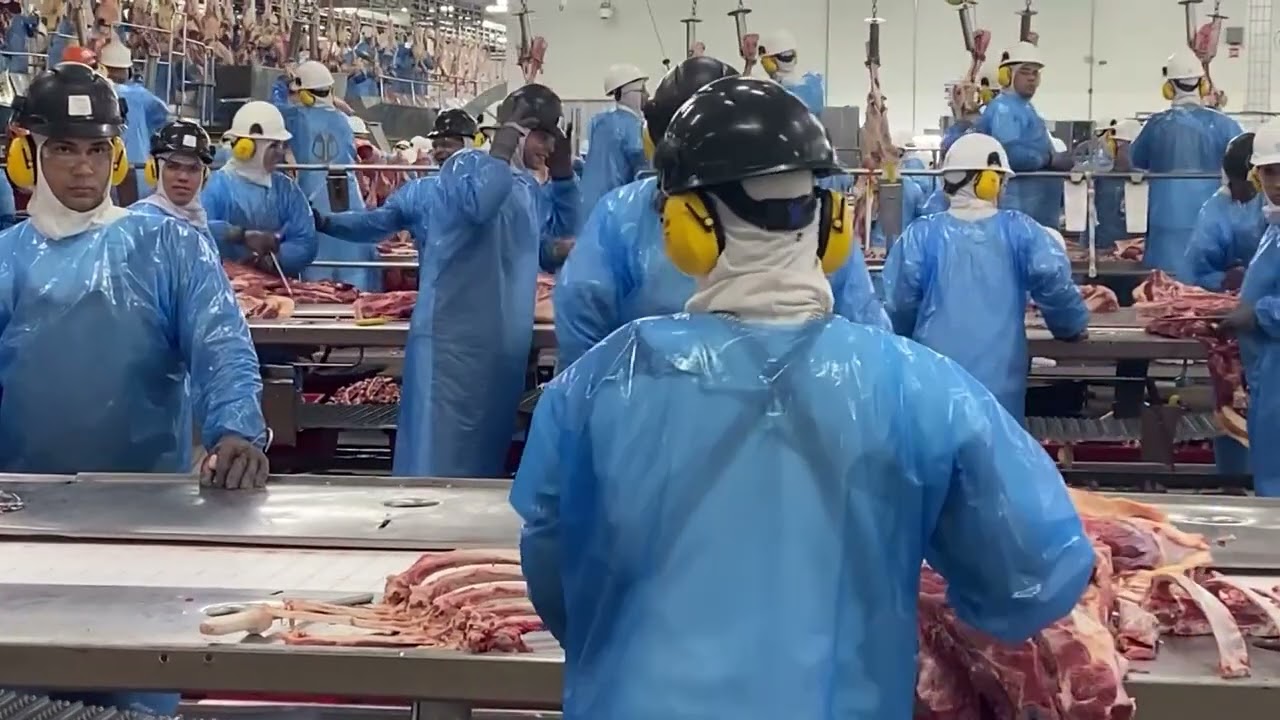 Indicador do açúcar segue em elevação e mapa reforça tendência