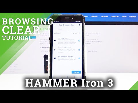 How to Clear Browsing Data in Hammer Iron 3 – Delete Browsing History
