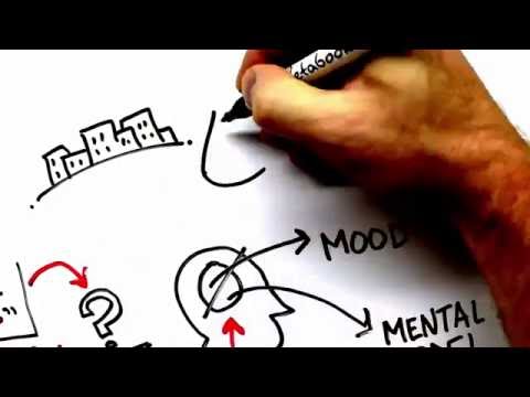 Roots of Miscommunication