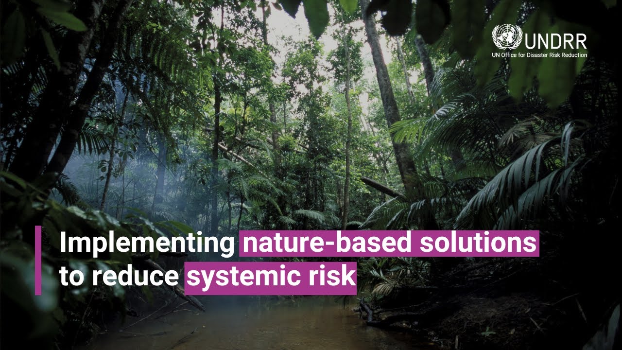 Introduction: Implementing nature-based solutions to reduce systemic risk