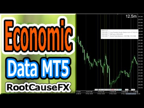 Video Economic Calendar from MT5