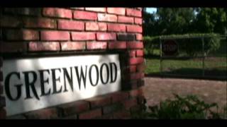 They Dwell Beneath the Temples - &quot;Fire Flies&quot; (official music video)