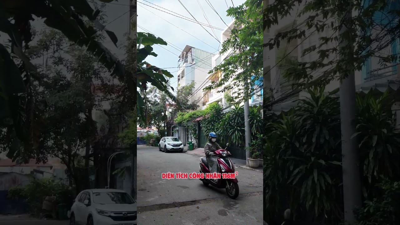 Ảnh đại diện Video