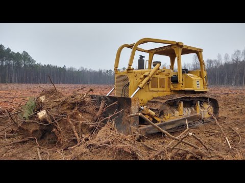 Busting Stumps With The Cat D6 Dozer
