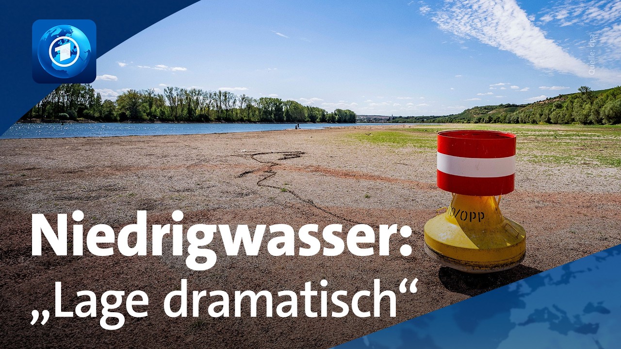 Probleme durch extremes Niedrigwasser | 🌍 tagesschau24 Top-Thema, 6.8.2026