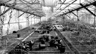 Don Dehlia - Sharp Tongue Charlie