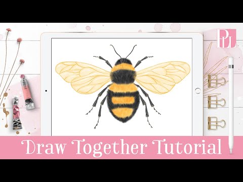 How to draw a Bee step by step in Procreate Tutorial