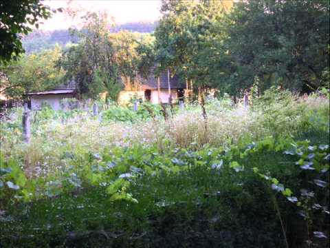 Raul Olt si localitatea Scornicesti 2008