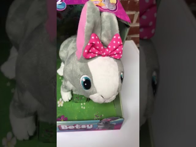 Vídeo relacionado con Club Petz Betsy | Conejita saltarina interactiva Que responde a tu Voz - Juguete para niños y niñas +18 Meses