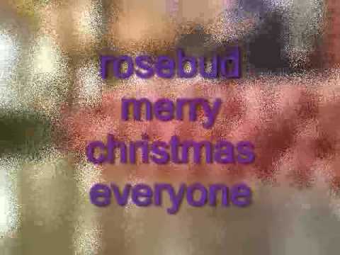 rosebud merry christmas everyone.avi