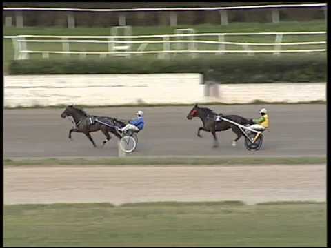 Trotto 20/01/2015 - 1° Prova di Rqualifica