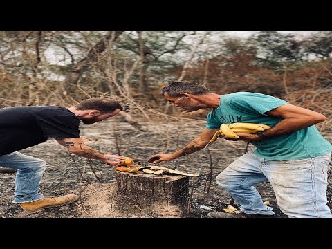 Voluntários alimentam animais no Pantanal após queimadas